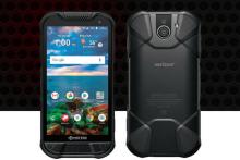 گوشی جان‌سختی که تا منفی ۲۰ درجه زنده می‌ماند