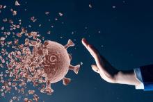 صنایع خلاق هم‌گام با دانش‌بنیان‌ها با کرونا مقابله می‌کند