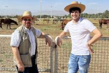 تایید ماجرای خبرساز؛ دوپینگ اسب‌های آزمون مثبت شد