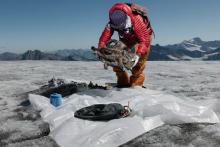 بزکوهی 500 ساله از یخچال کوه‌های آلپ سر درآورد(+تصاویر)