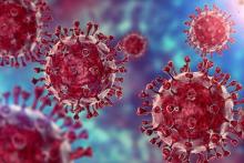 هشت درصد انسان‌ها را ویروس تشکیل داده‌است!