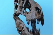 دایناسورهای باهوش با توانایی‌های باورنکردنی!