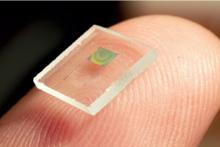 ربات‌هایی که روی نوک انگشت جا می‌شوند