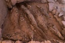 مومیایی‌هایی ترسناک و عجیب که در یک مقبره پیدا شدند