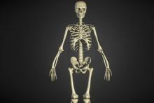 پنج نشانه از اجداد باستانی انسان که هنوز در بدنمان یافت می‌شوند