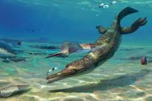 کشف همتای باستانی کروکودیل‌ها