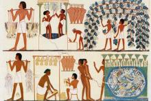 غذای متفاوت نجیب‌زادگان و فراعنه‌ مصر چه بود؟