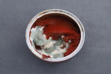 آیا کپک‌ها خطرناک هستند؟