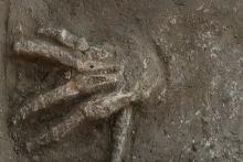 راز دست‌های بریده کشف‌شده در قصر باستانی