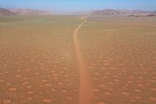 حل معمای دایره‌های جنی با کمک دانش باستانی بومیان