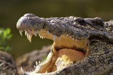 راز جزیره‌ای که سفر به آن به قیمت مرگ است!