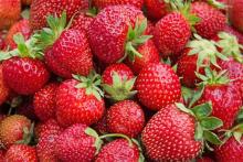 خوراکی‌هایی که التهاب را سرکوب می‌کند