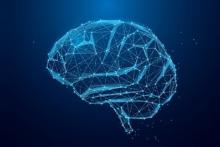 نشانه شگفت‌انگیز از ضریب هوشی بالا