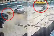 مرگ دانش آموز 14 ساله به خاطر حمله سگ