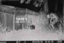 سقوط آدم فضایی سه متری در حیاط خانه، فضای مجازی را به هم ریخت