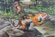 خرس باستانی با رژیم غذایی عجیب و خطرناک