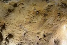 قدیمی‌ترین نقاشی‌ انسان نئاندرتال پیدا شد