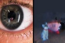 وقتی بازتاب چشم‌ها مکان را لو می‌دهند!