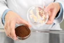 به زودی می‌توانید قهوه تولید شده در آزمایشگاه بنوشید