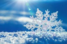 بزرگترین دانه برف دنیا از یک پیتزا بزرگ‌تر است!