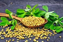 خواص معجزه‌آسا و درمانی این گیاه برای سلامتی