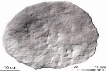 رازگشایی از دیسک مرموز با ۲۹ نماد عجیب بر روی آن!