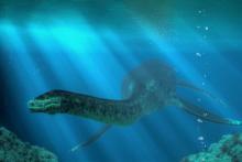 فسیل هیولای دریایی ۲۵۰ میلیون ساله در چین پیدا شد(+عکس)