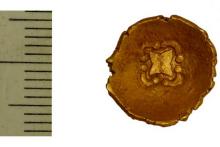 کشف یک سکه طلای «افسانه‌ای» در ایالت باواریای آلمان