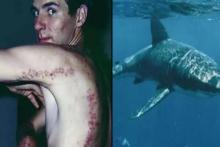 ماجرای مردی که کوسه تکه و پاره‌اش کرد اما زنده ماند(+عکس)