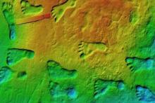 قدیمی‌ترین ردپای انسان در آمریکا