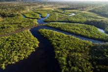 ظاهر شدن صورت‌هایی عجیب در کف رودخانه آمازون!