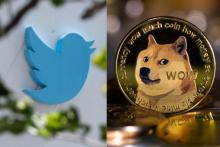 تصویر دوج‌کوین جایگزین لوگوی توییتر شد