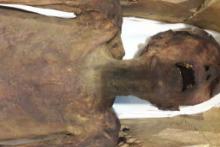 رمزگشایی از قتل ترسناک‌ترین مومیایی جهان