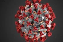 احتمال آلودگی "مو" به کرونا چقدر است؟