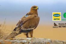 ایرانسل هزینه‌ای بابت رومینگ موبایل عقاب‌ها دریافت نمی‌کند