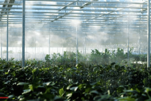 کاربرد مه پاش در مکان‌های مختلف