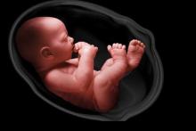 جنین منجمد بعد از ۲۴ سال به دنیا آمد