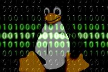 هشدار مرکز ماهر از آسیب پذیری منع سرویس در هسته سیستم&zwnj;های عامل LINUX