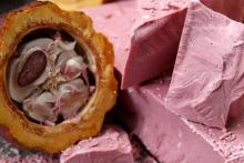 تولید شکلات یاقوتی در سوئیس