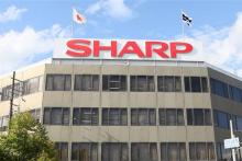 تولید پنل‌های اولد شارپ افزایش ‌می‌یابد