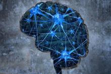 بیش از 34 شرکت‌فناور محصولات دانش‌بنیان علوم و فناوری‌های شناختی تولید می‌کنند