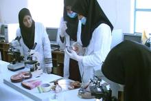 زیست‌بوم فناوری و نوآوری سلول‌های بنیادی جوان‌تر می‌شود