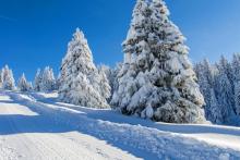 چرا واکنش انسان نسبت به سرما متفاوت است؟‎