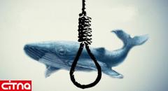 پیشنهاد یک خبرنگار درباره‌ی عنوان "نهنگ آبی"