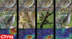 بهره‌گیری محققان دانشگاه دوک آمریکا از هوش‌مصنوعی جهت شناسایی پرندگان