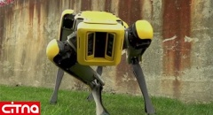 ربات چهار پا که به اندازه سگ‌های واقعی توانمند است