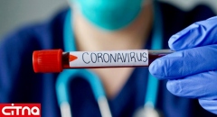  ممکن است کروناویروس هرگز از بین نرود