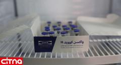 «هیچ یک از واکسن‌های ایرانی کرونا بدون گذراندن تست‌های اولیه به تولید انبوه نمی‌رسد»