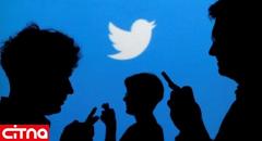 یک انگلیسی در اسپانیا به جرم هک توئیتر دستگیر شد