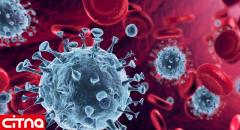 ایران و اندونزی تجریبات خود در مقابله با ویروس کرونا را به اشتراک گذاشتند